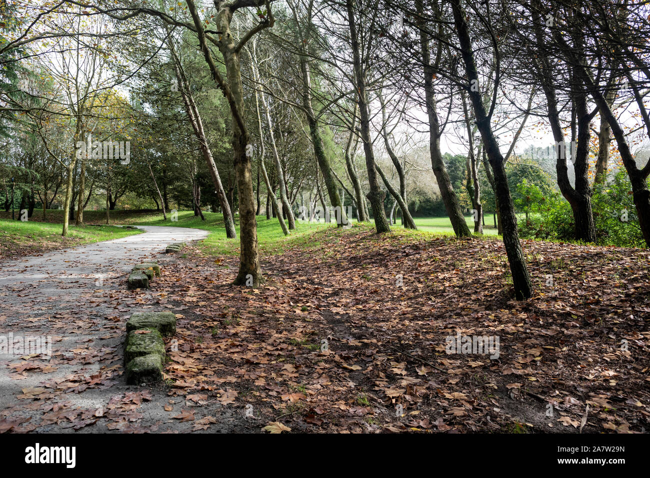 Parc de la ville de Porto en automne Banque D'Images