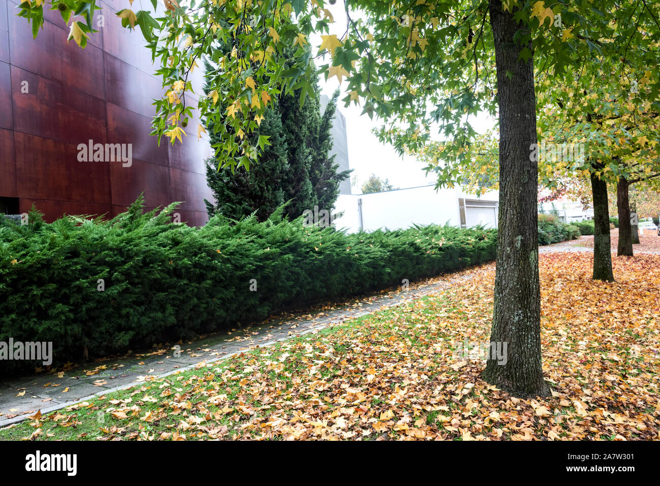 Une rue à l'automne Banque D'Images