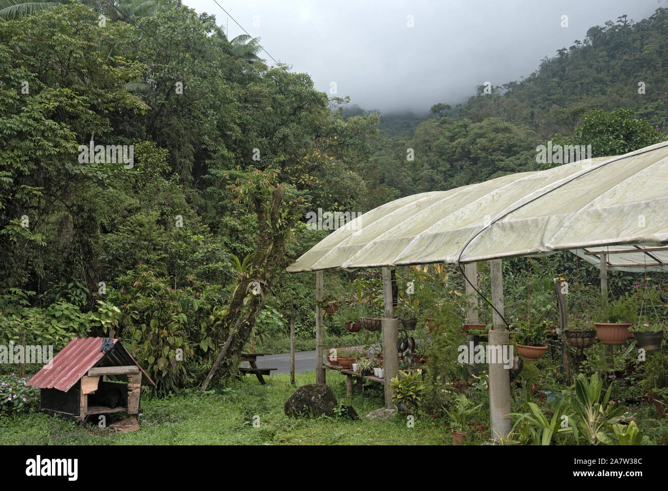 Les petites entreprises de l'horticulture dans la réserve forestière de fortuna panama Banque D'Images