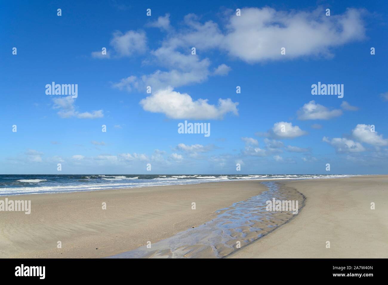 Vagues à manquer à la plage de sable fin, ciel bleu avec des nuages cumulus d'emboutissage profond (Cumulus) sur la mer du Nord, Kampen, Sylt, îles frisonnes du Nord Banque D'Images