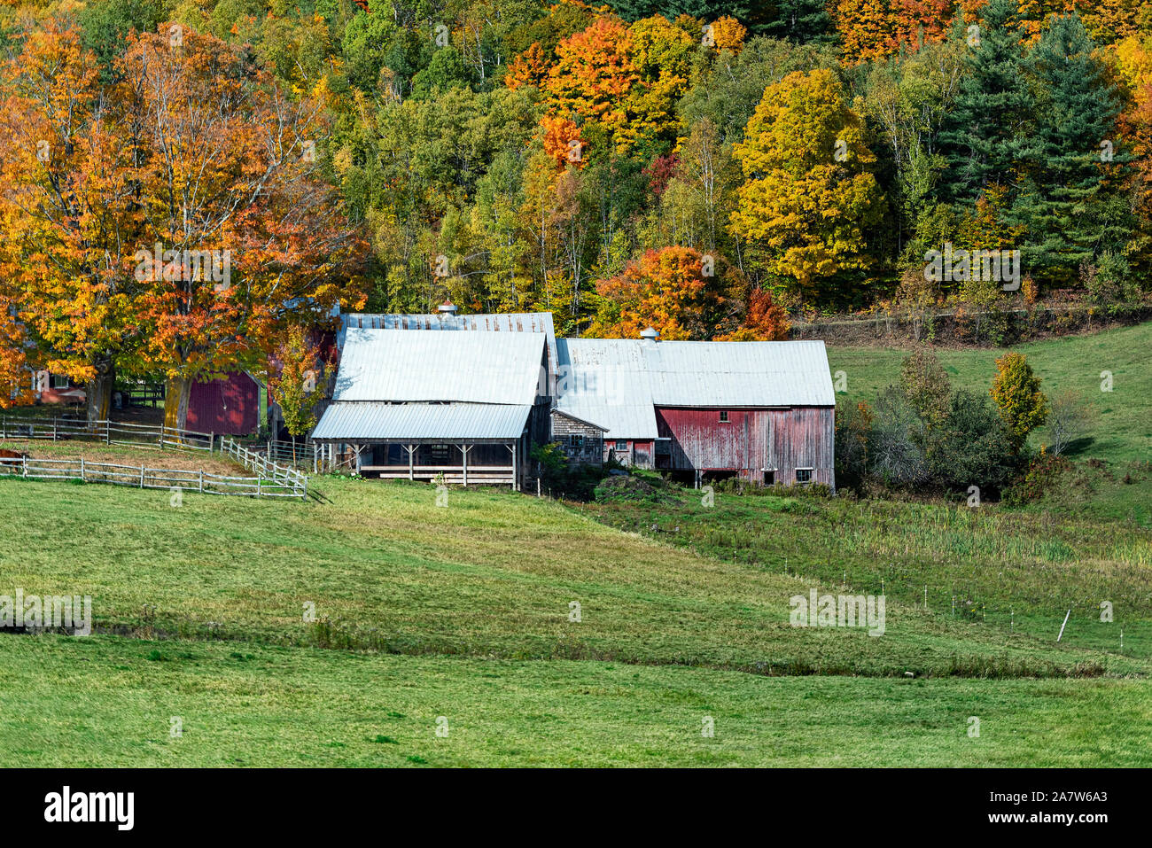 Les bâtiments de ferme avec la couleur en automne, la lecture, Vermont, USA. Banque D'Images