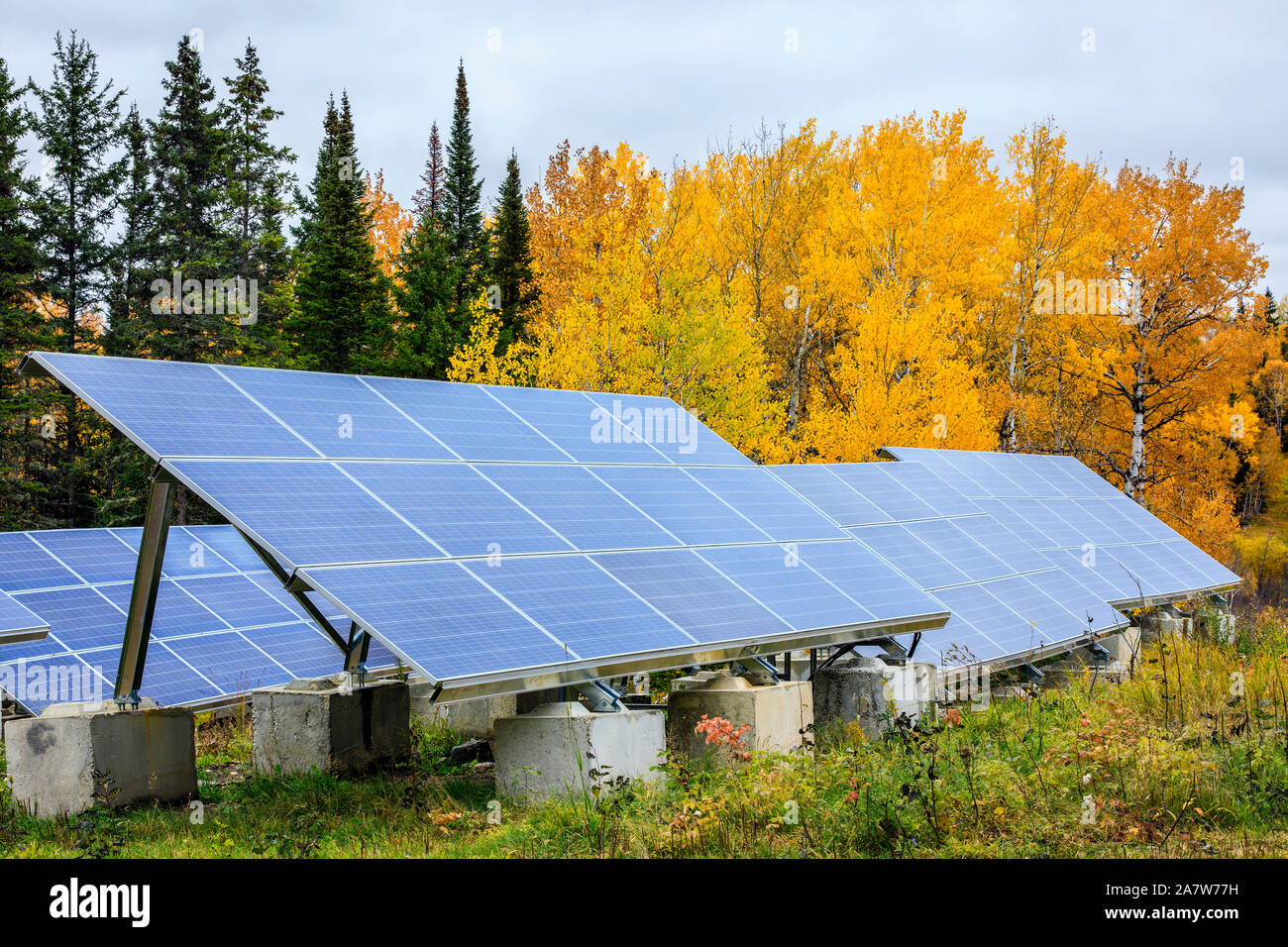 Panneaux solaires dans la forêt, au Manitoba, Canada. Banque D'Images