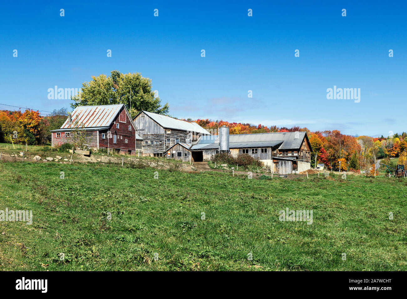 L'automne rustique ferme, Stowe, Vermont, USA. Banque D'Images