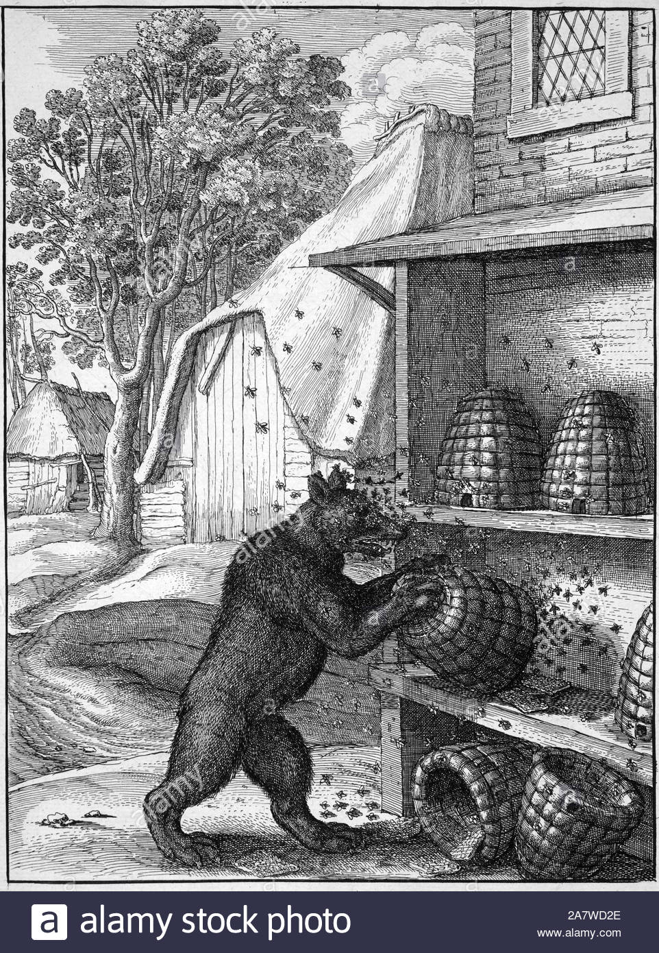L'ours et les abeilles, l'une des Fables d'Ésope, gravure d'aquafortiste de Bohême Venceslas Hollar à partir de 1600 Banque D'Images