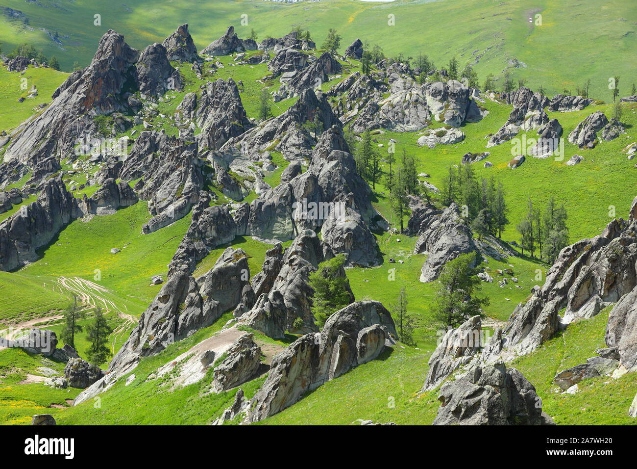 Paysage de la 'forêt' de granit sur le pâturage à Burqin county, Altay, préfecture du nord-ouest de la Chine La région autonome du Xinjiang Uygur, 26 juin 2 Banque D'Images