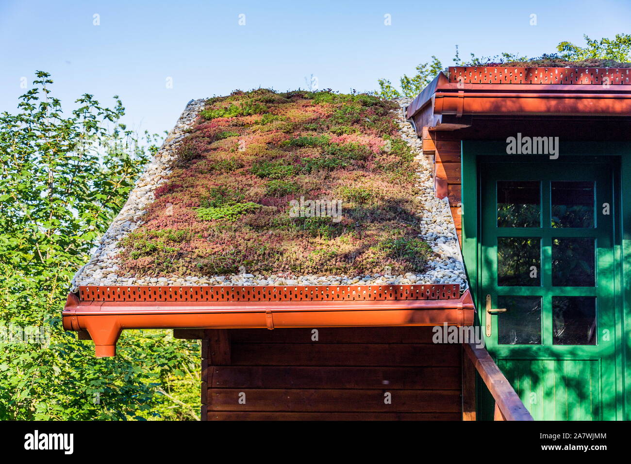 Vaste séjour écologique verte toit de chaume recouvert de végétation principalement sedum sexangulare, également connu sous le nom de tasteless stonecrop Banque D'Images