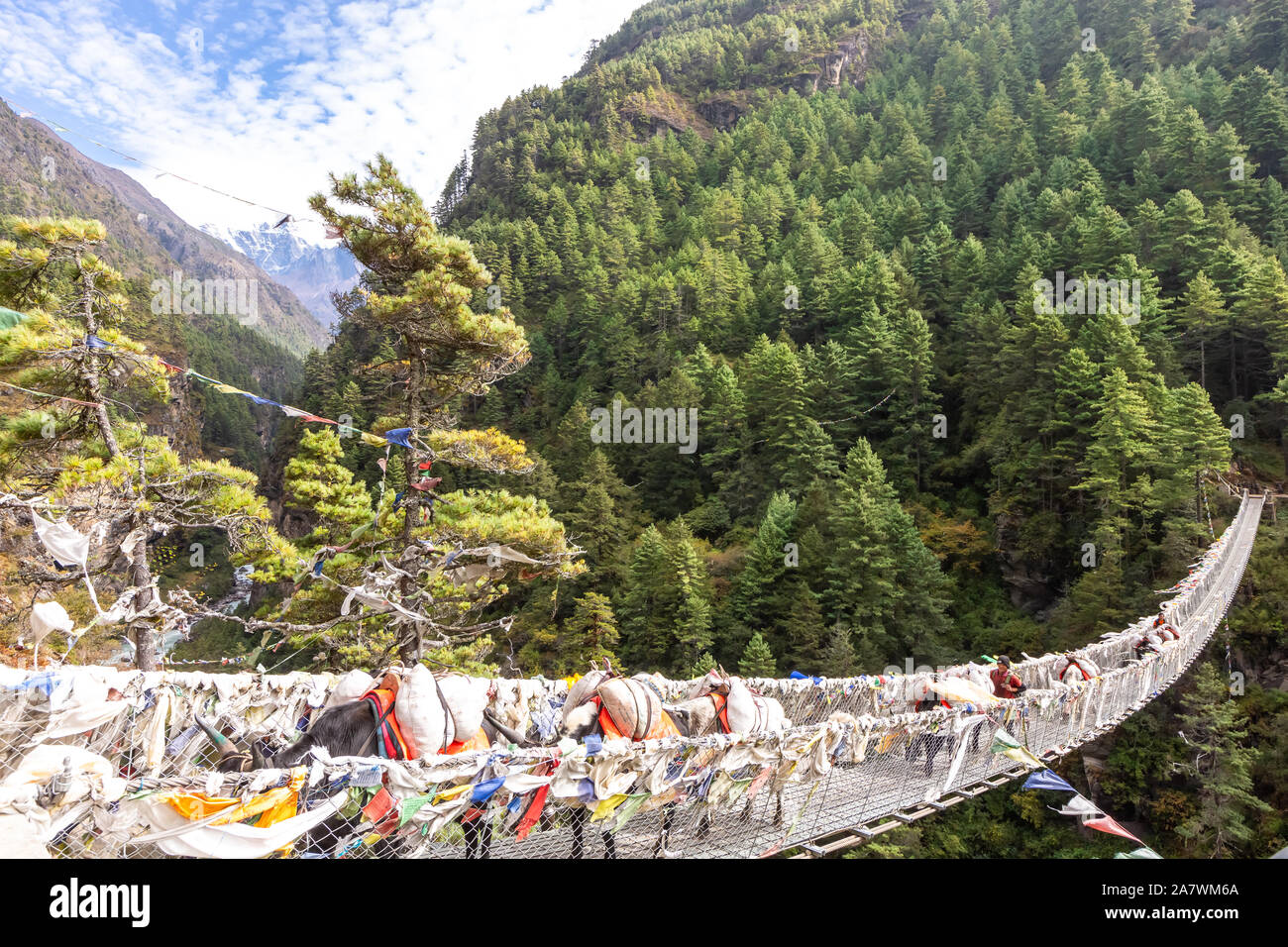 Suspention bridge sur le camp de base de l'Everest Trek, Himalaya, parc national de Sagarmatha (Népal). Banque D'Images