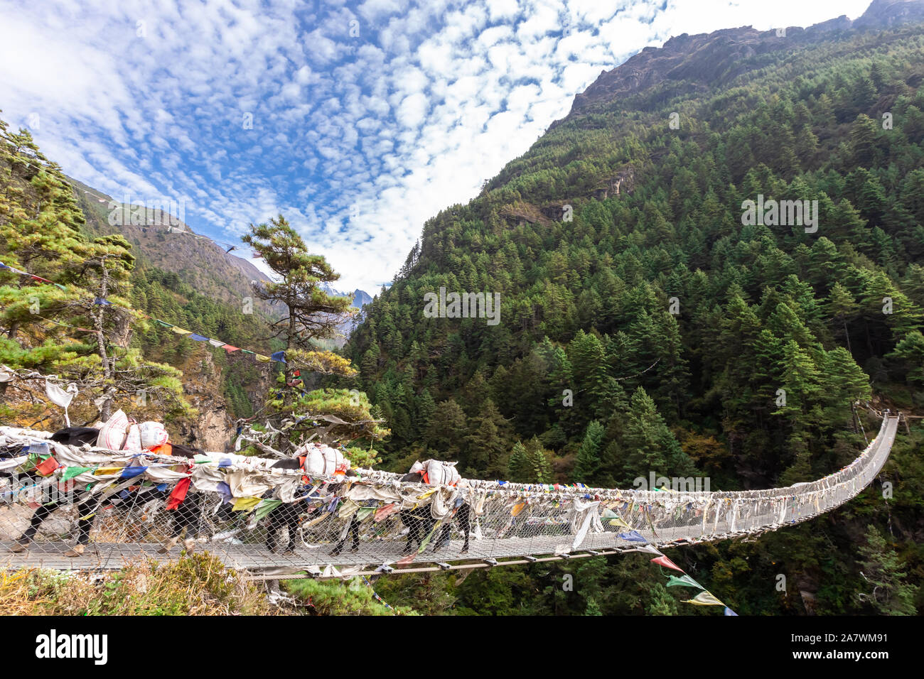 Suspention bridge sur le camp de base de l'Everest Trek, Himalaya, parc national de Sagarmatha (Népal). Banque D'Images