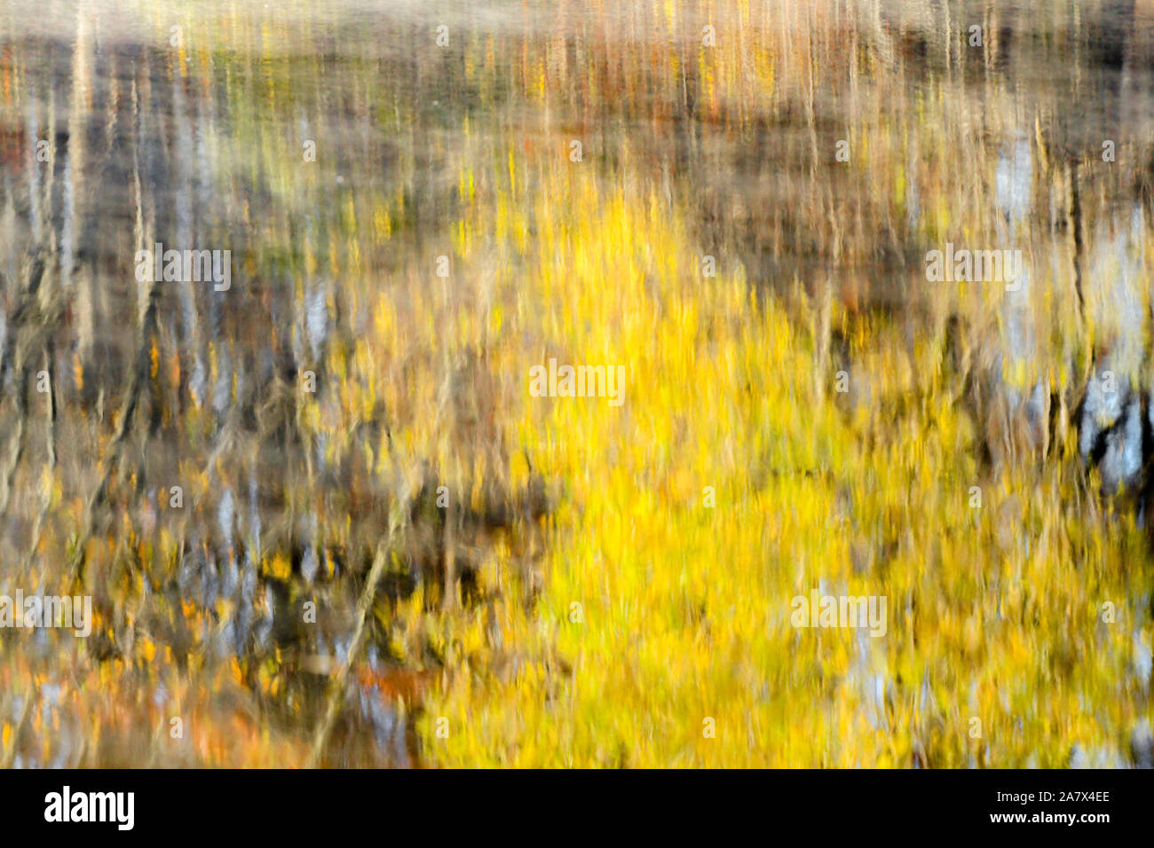 Les feuilles de l'automne reflète dans l'eau - Couleurs d'automne - automne arbres se reflétant - impressionnisme - photographie impressionniste - brouillard de vapeur d'eau - Misty Banque D'Images