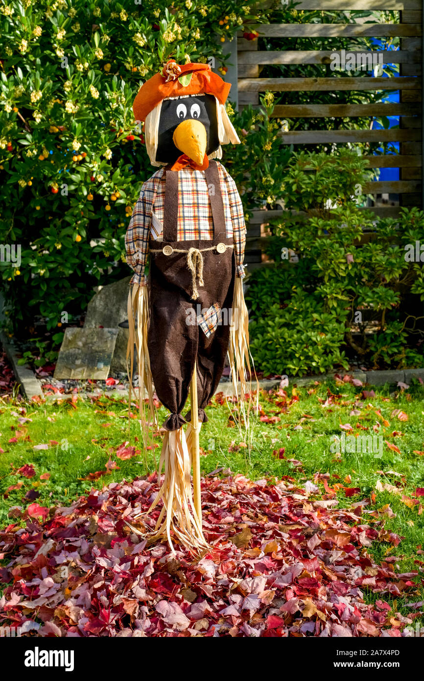 Crow épouvantail dans le jardin. Banque D'Images