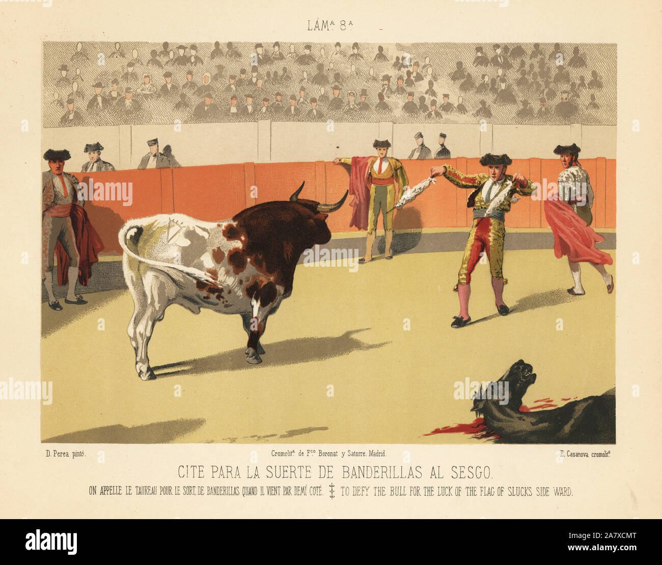 Matador prépare à poignarder un taureau avec deux banderilles dans les arènes. Chromolithographie par E. Casanova après une illustration de Daniel Perea de corrida, Corrida del Toros, Madrid, Boronat & Satorre, 1894. Banque D'Images