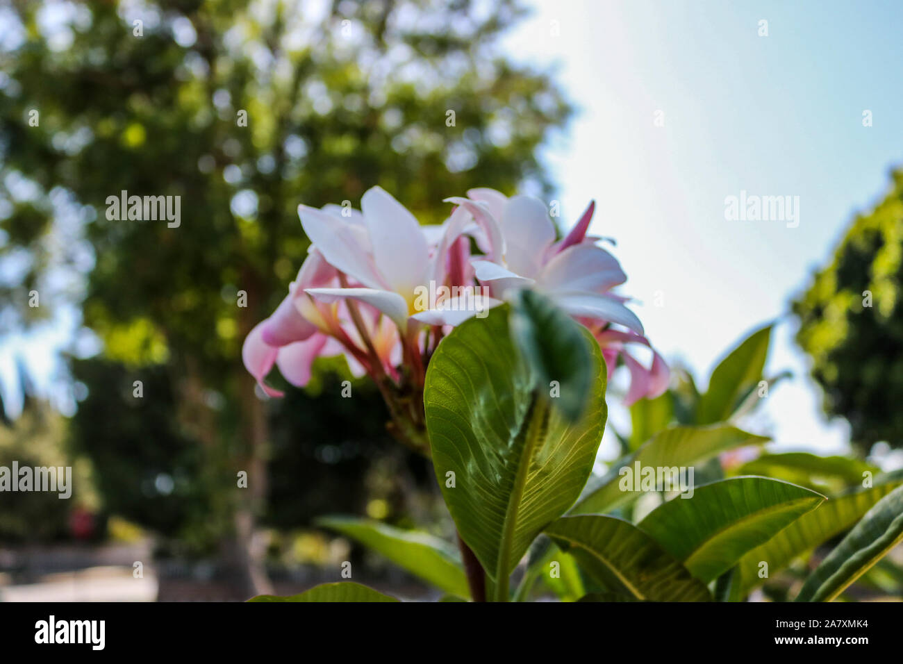 De belles vues Banque D'Images