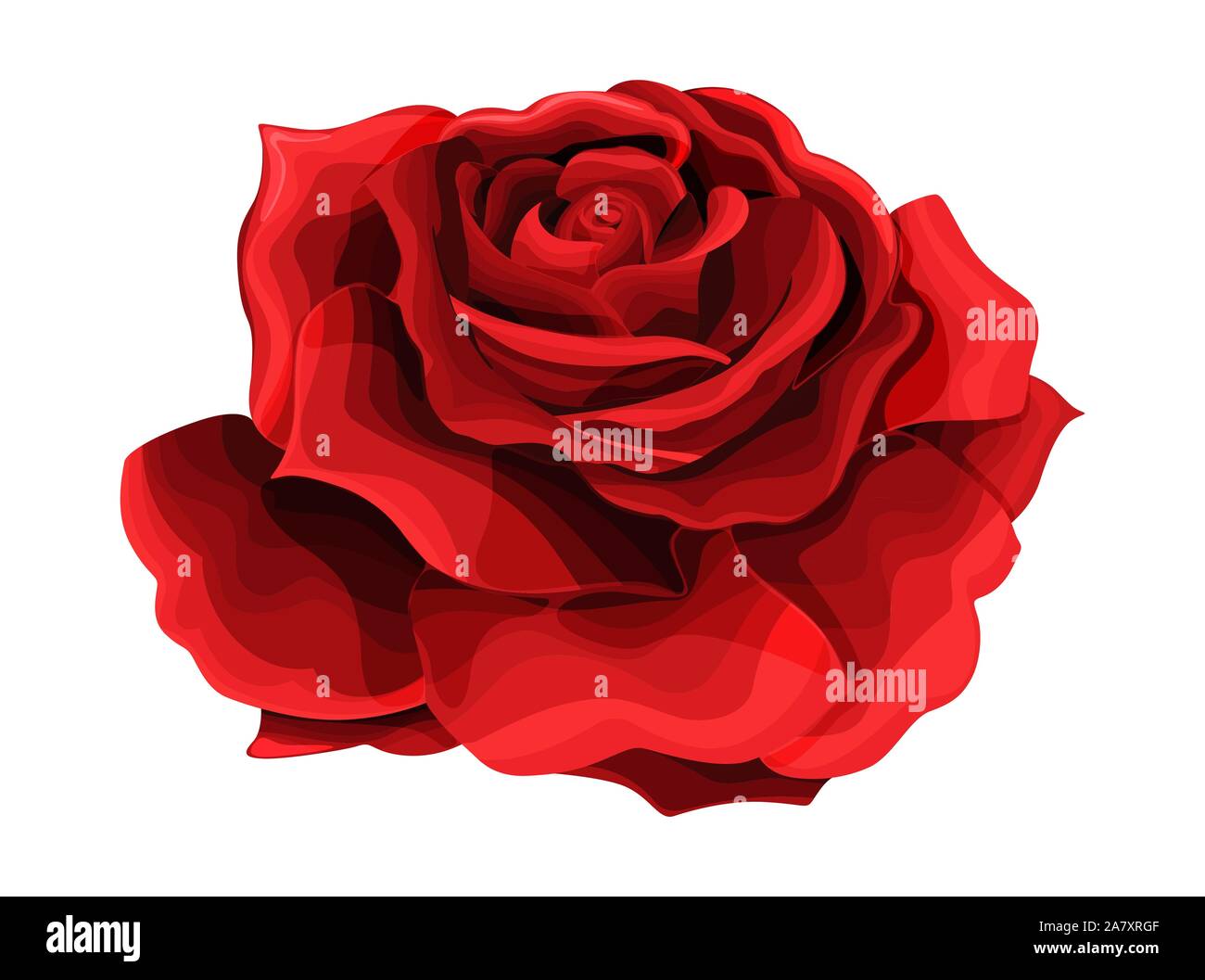 Dessin à la main et de couleur rose. L'essor de Rosebud. Vector illustration. Illustration de Vecteur