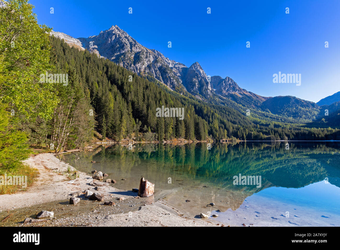 À la lumière du matin, le lac Lac Anterselva Antholz, Tyrol du Sud, à l'automne Banque D'Images