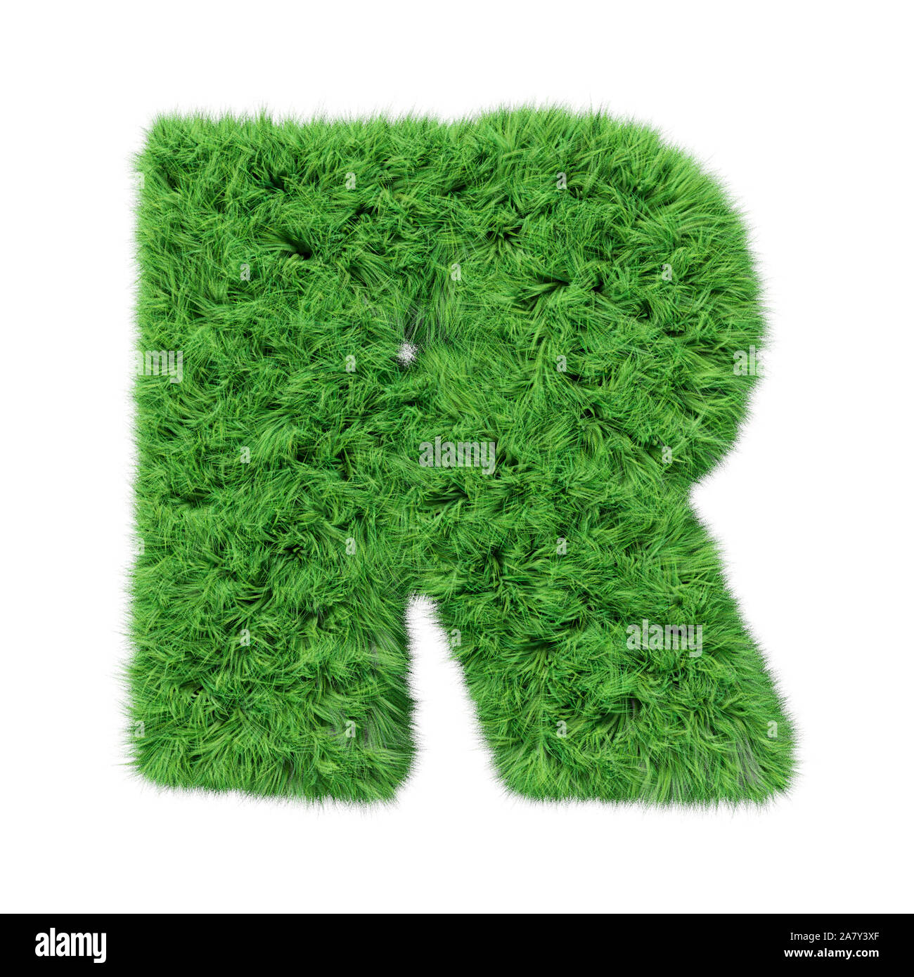 Lettre de l'alphabet, R. Grass isolated on white 3D illustration. Banque D'Images