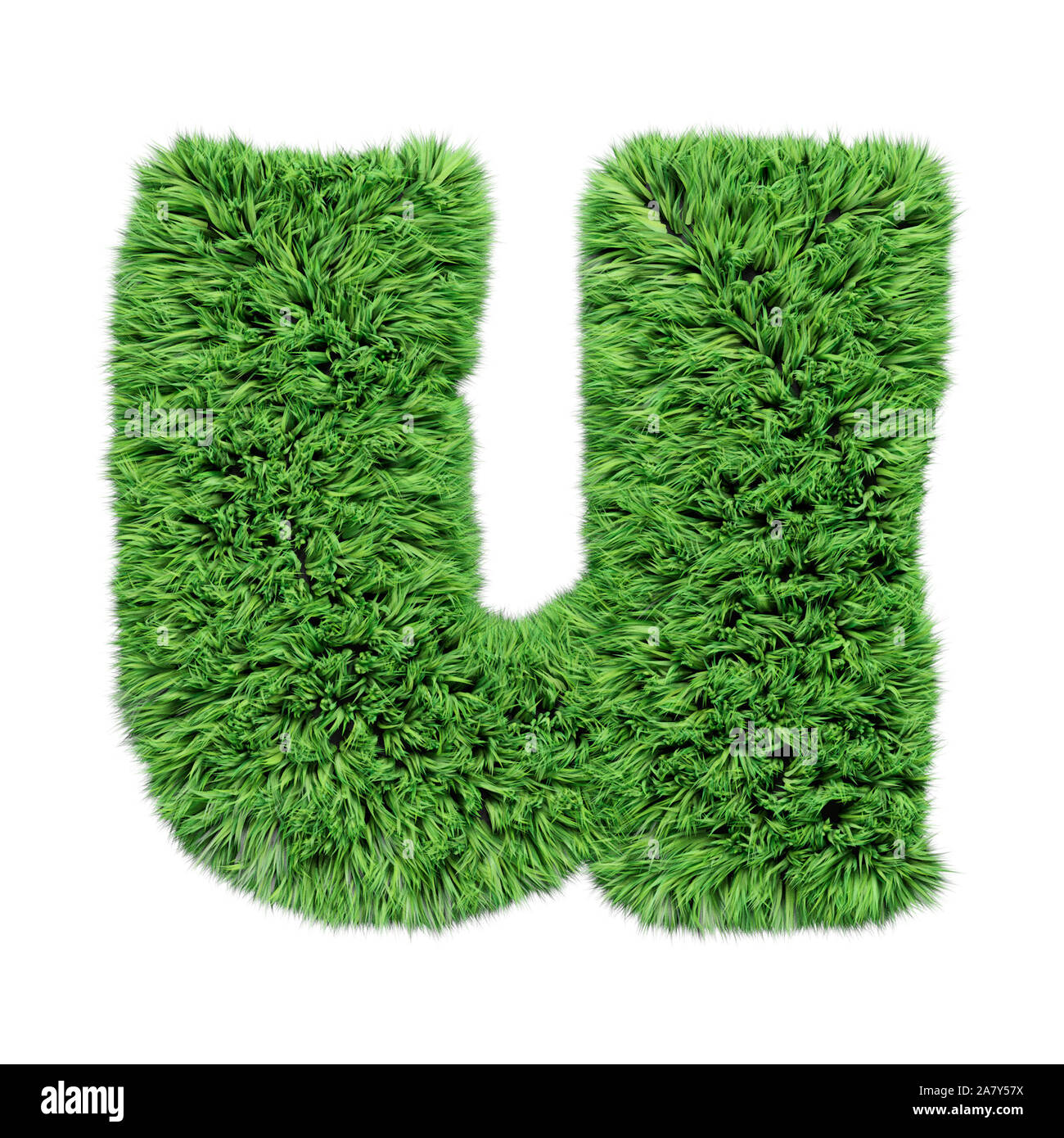 Alphabet d'herbe, lettre u. Isolated on white 3D illustration. Banque D'Images