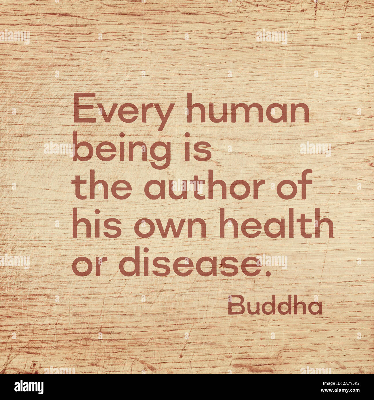 Chaque Etre Humain Est L Auteur De Sa Propre Sante Ou De La Maladie Citation Celebre De Gautama Bouddha Imprime Le Grunge Wooden Board Photo Stock Alamy