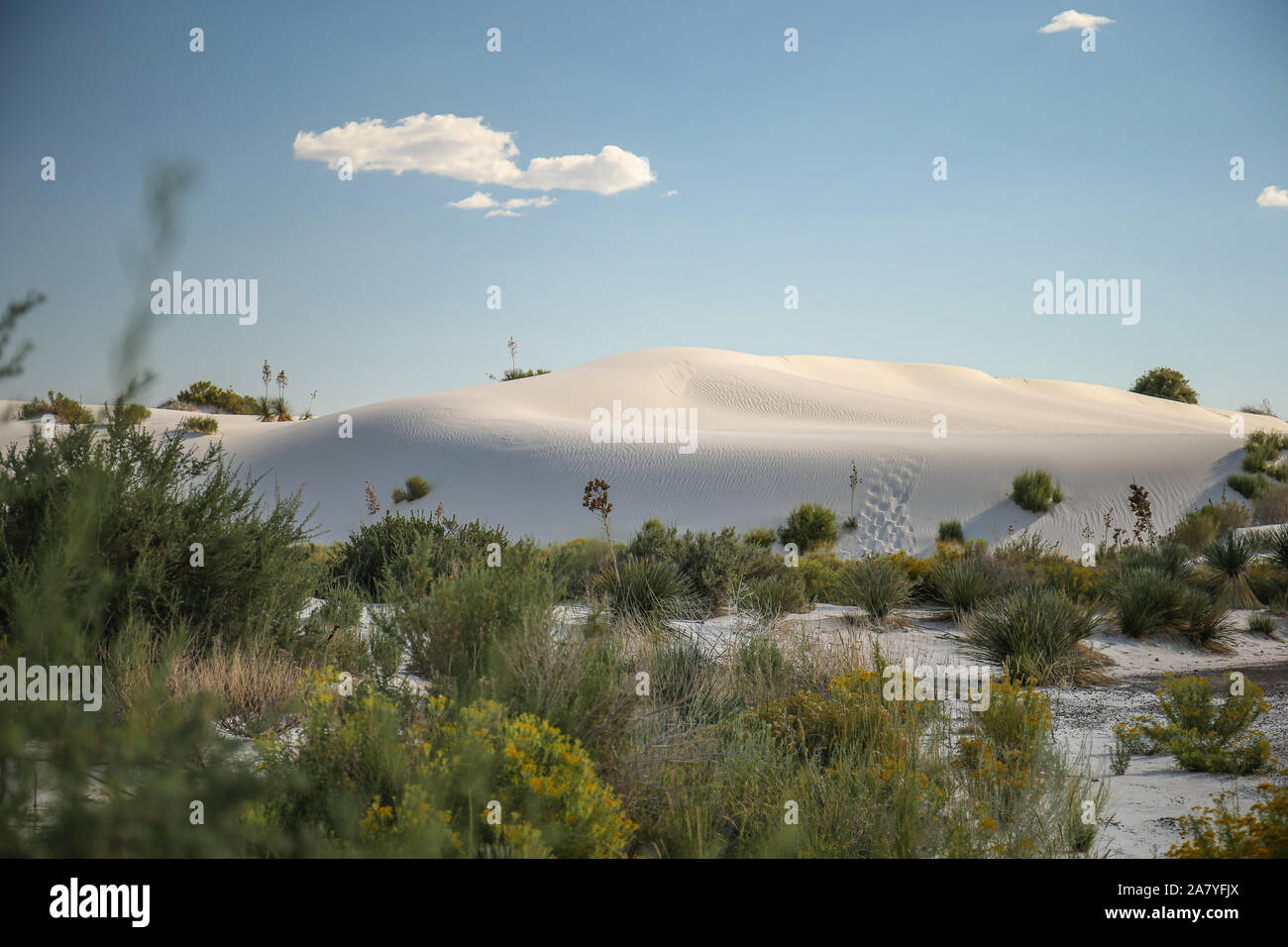 Avant-plan vert avec les dunes blanches de sable blanc derrière Banque D'Images