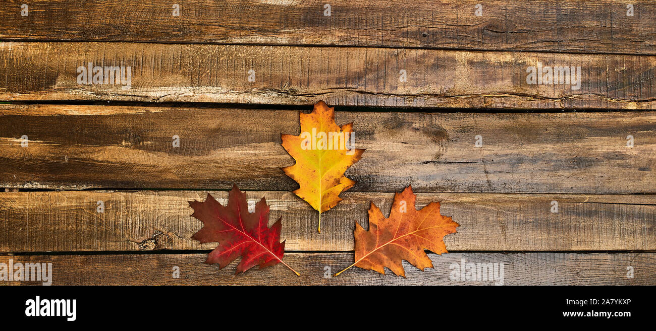 Feuilles d'automne sur table en bois Banque D'Images