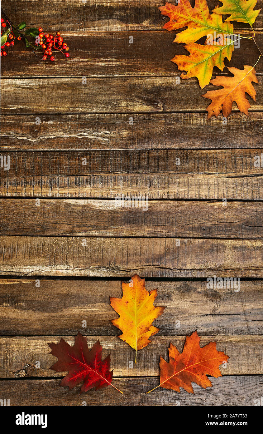 Automne feuilles d'érable sur la table en bois Banque D'Images