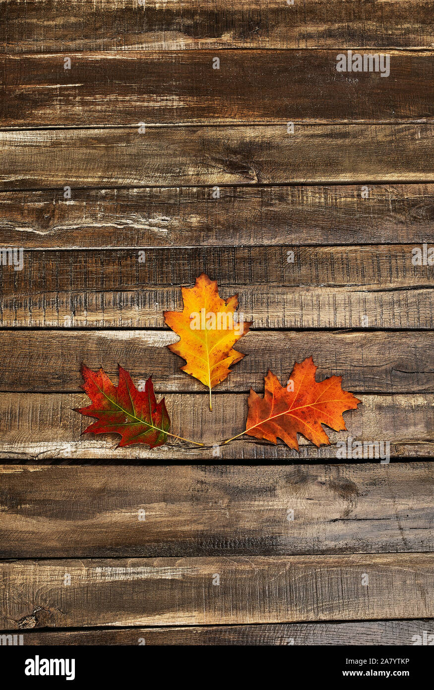Feuilles d'automne sur table en bois Banque D'Images
