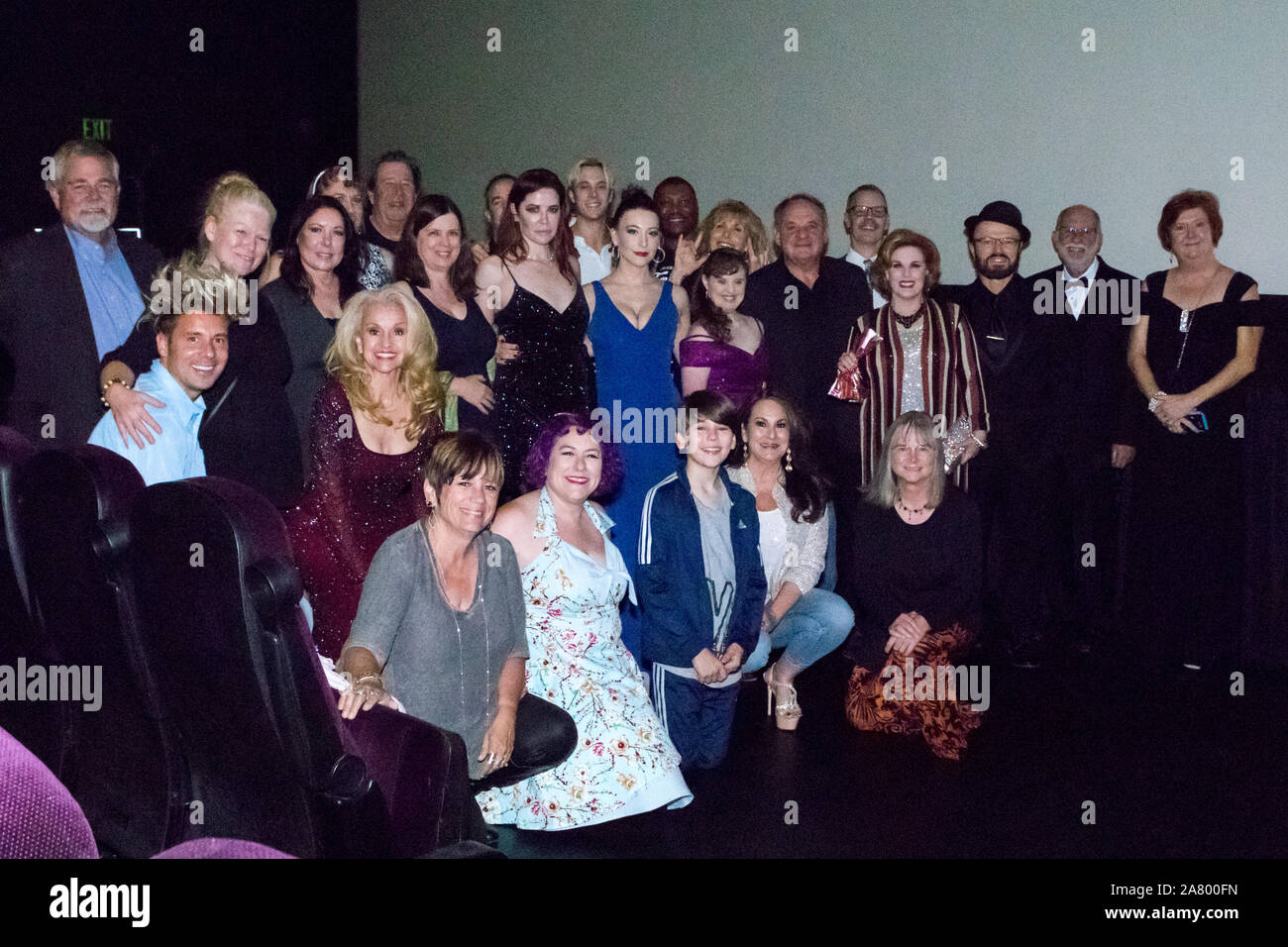 VAN Nuys, Californie - 1 novembre, 2019 : le chiffre d'affaires Salles de cinéma Premiere au Regency Theatre. Célébrités, cast and crew, famille et amis ont été Banque D'Images