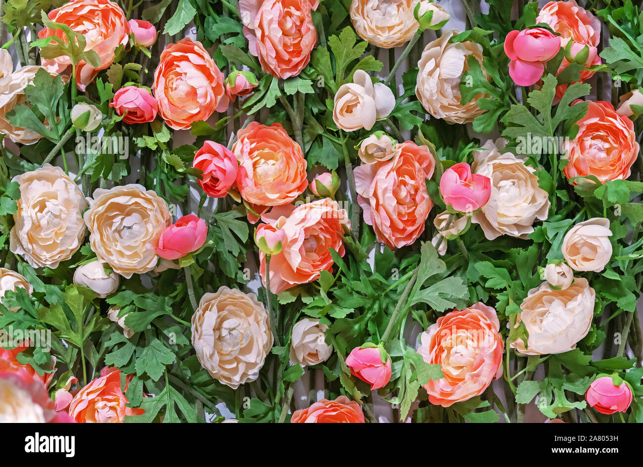 Floral background à partir de pivoines artificielles. Composition de fleurs. Banque D'Images