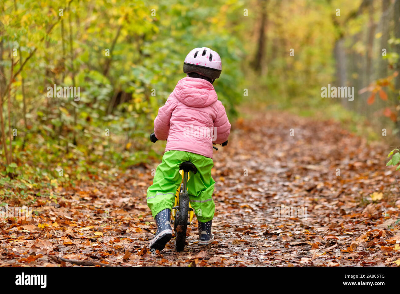 Vue arrière d'un enfant de 4 ans fille à cheval sur un vélo équilibre sur un sentier à travers une forêt d'automne dans la région de Franconia / la Bavière en Allemagne en Octobre Banque D'Images