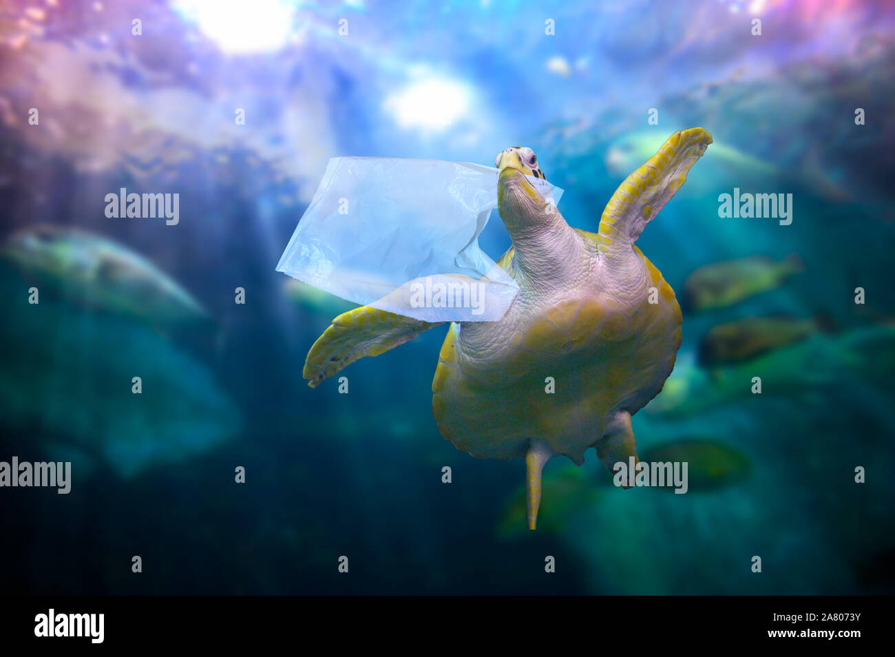 Océan de plastique Sacs en plastique de l'alimentation sont des tortues sous le bleu de la mer. Concepts de la conservation de l'environnement et de ne pas jeter de déchets dans la mer Banque D'Images