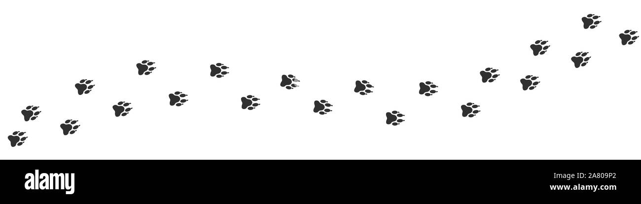 Les pattes du loup imprimer. Sentier Sentier d'animal, Vector illustration Illustration de Vecteur