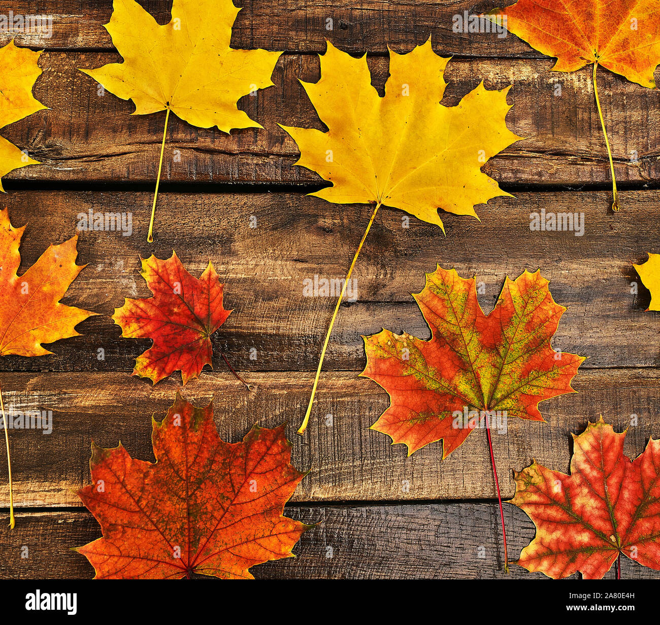 Les feuilles d'automne sur fond de table en bois Banque D'Images