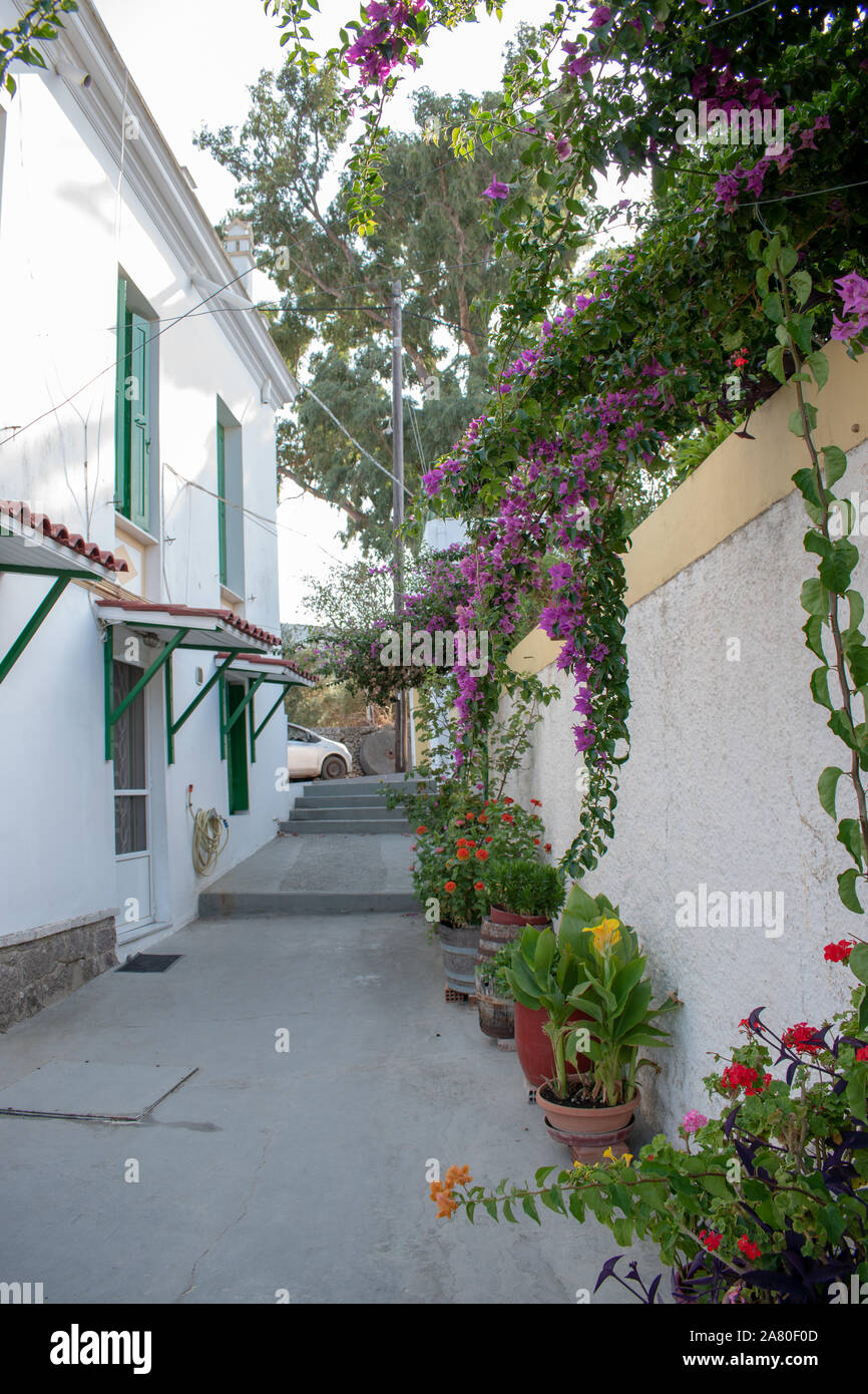 Jardin fleuri et coloré, d'une maison à Cythère Banque D'Images