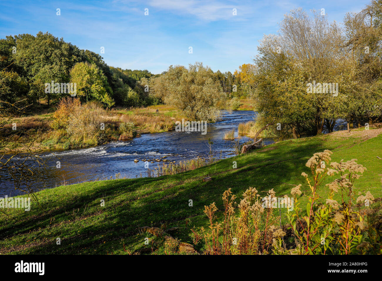 Datteln, Ruhr, Rhénanie du Nord-Westphalie, Allemagne - Lippe, rivière et le développement de la plaine de la Lippe, ici un paysage de la rivière proche de la nature a été cr Banque D'Images