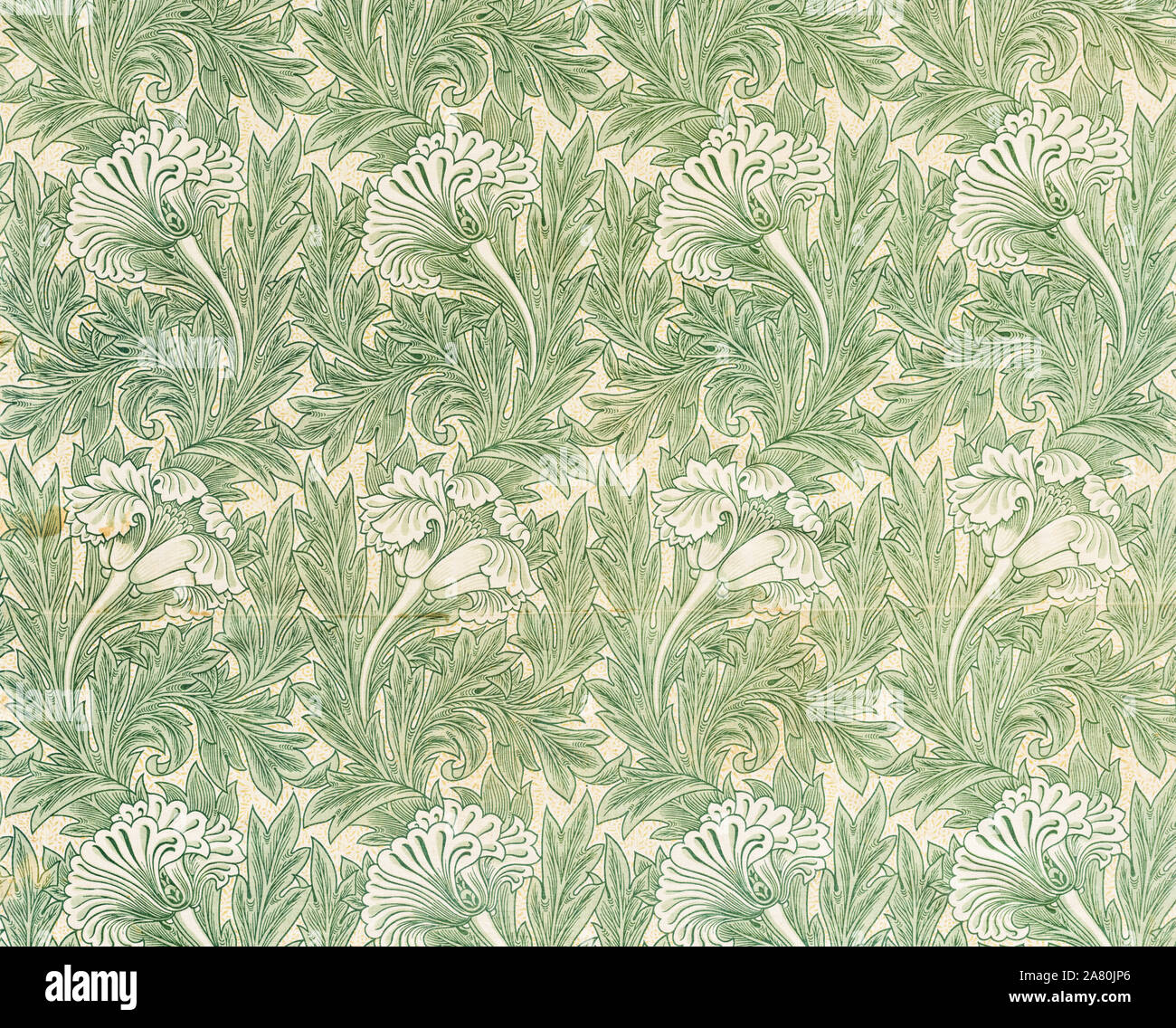 William Morris, motif en tissu, tulipe, imprimé bois, 1875, Mouvement des arts et de l'artisanat Banque D'Images