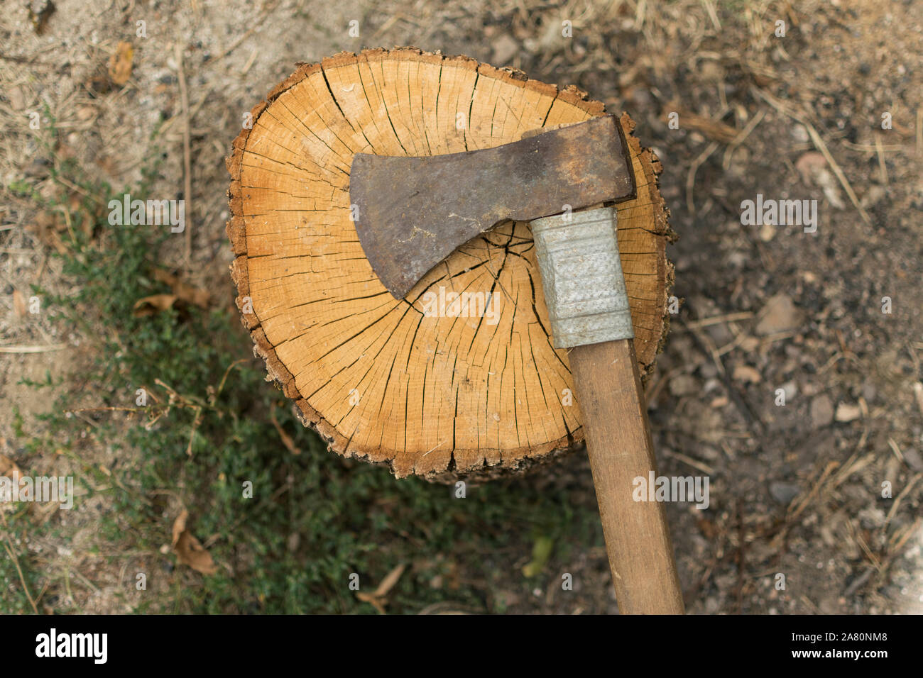 Ax on log, high angle view. Banque D'Images