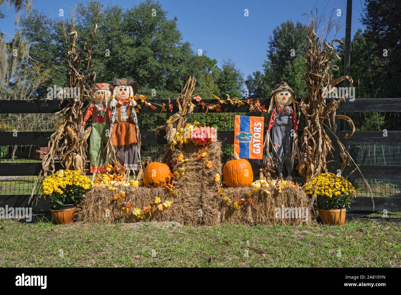 Récolte d'automne, l'affichage à une ferme locale dans le centre-nord de la Floride. Banque D'Images