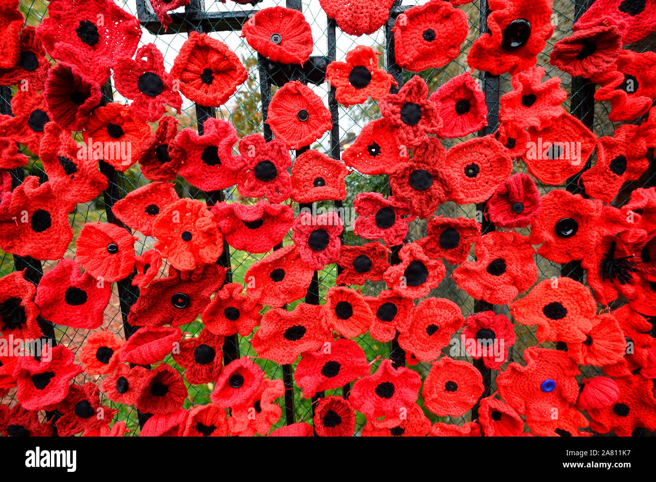 Supplément £75 par image pour en ligne et €150 pour l'impression en l'église paroissiale de l'église de pavot Carmunnock, Kirk Rd, Photo : coquelicots sur le Kirk. Allé mais oublié tricot paroissiens ont décoré l'extérieur de leur église avec plus de 9000 pavot pour 100 ans depuis la fin de la Première Guerre mondiale, les membres de l'église paroissiale de Carmunnock, près de Glasgow, se sont regroupés pour assembler les fleurs rouges, qui ont été accrochés autour de l'enceinte de l'église. Le projet, qui a été achevé à temps pour le Jour du Souvenir, rend hommage aux soldats qui se sont battus et sont morts dans les conflits entre 1914 et 191 Banque D'Images