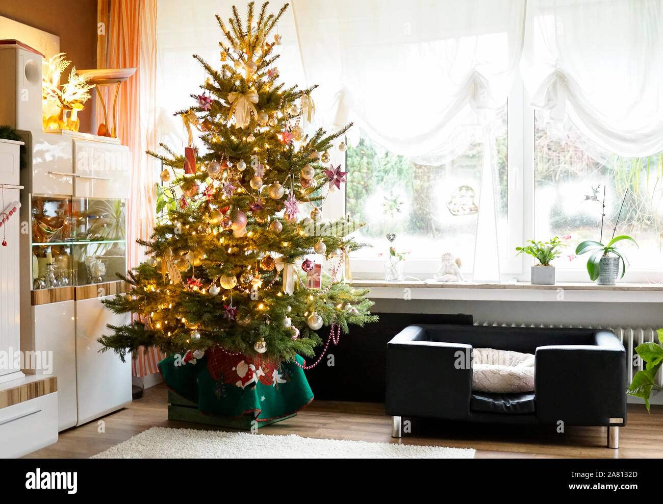 Un arbre de Noël décoré se trouve dans un salon lumineux. Salon placard blanc, des rideaux blancs. Un canapé en cuir pour les animaux avec un oreiller. Banque D'Images