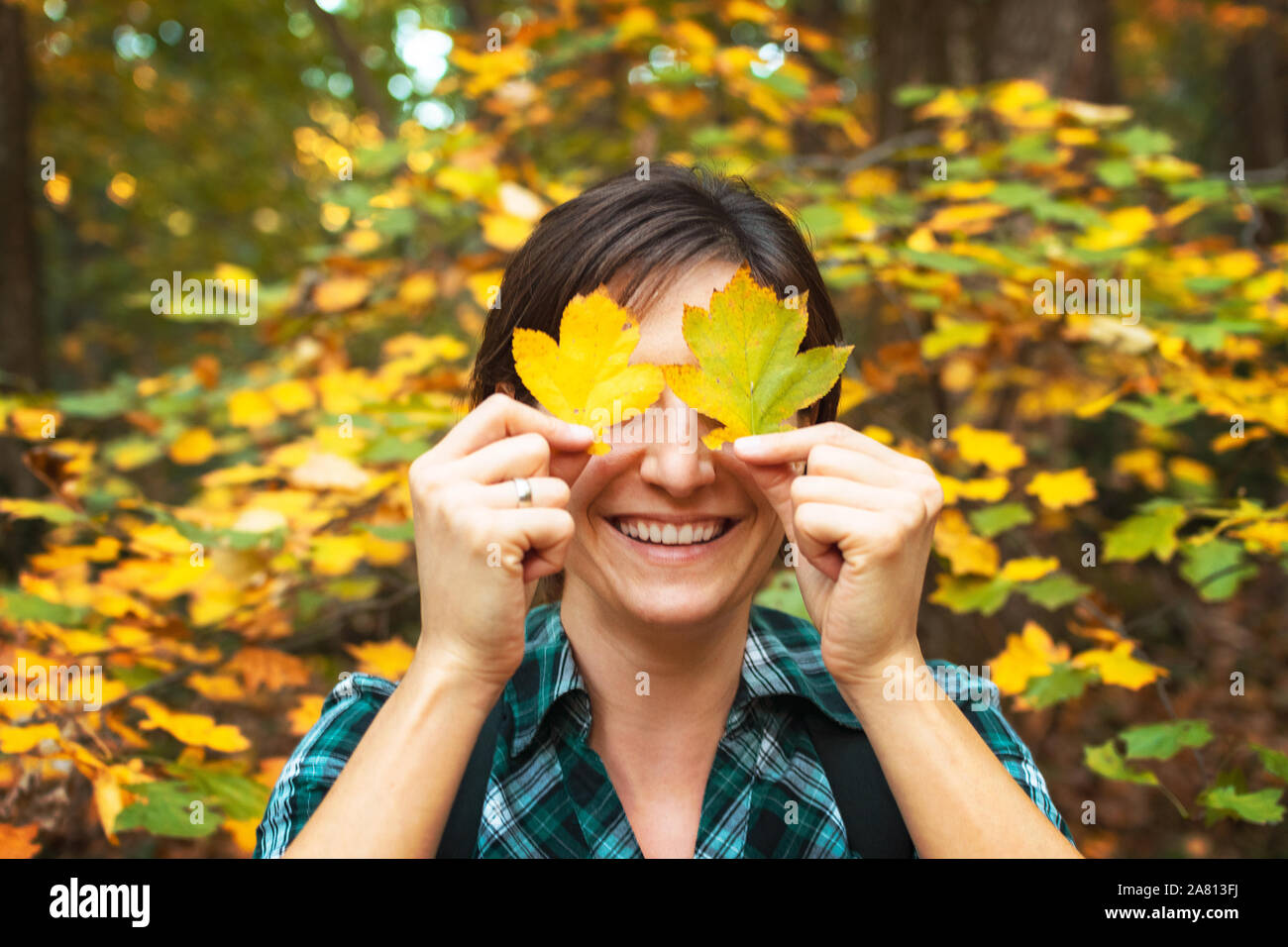 Couleurs d'automne portrait of a young female en chemise verte feuilles colorées holding sur ses yeux au milieu de la forêt dense. Image style de l'automne. Banque D'Images