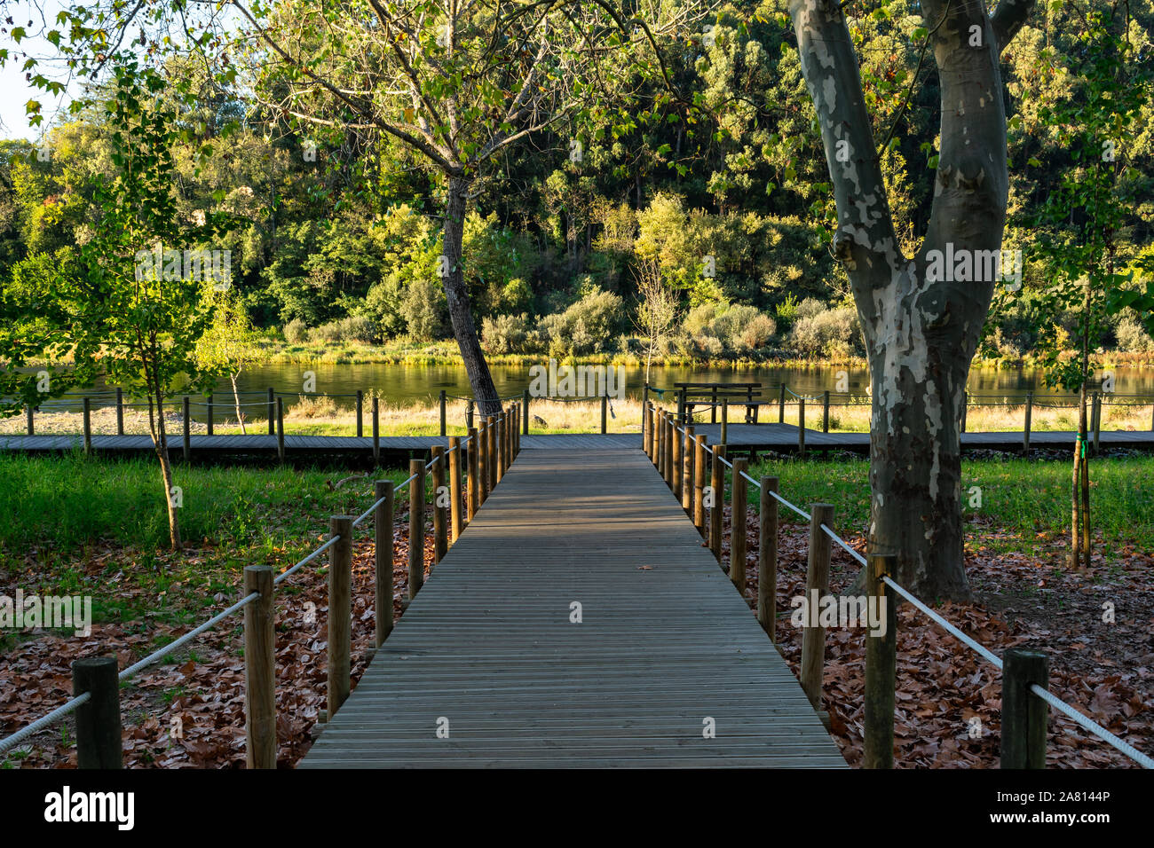 Chemin de bois en direction de rivière et arbres. La rivière Minho, l'Espagne et le Portugal. Monção, Portugal, Europe Banque D'Images