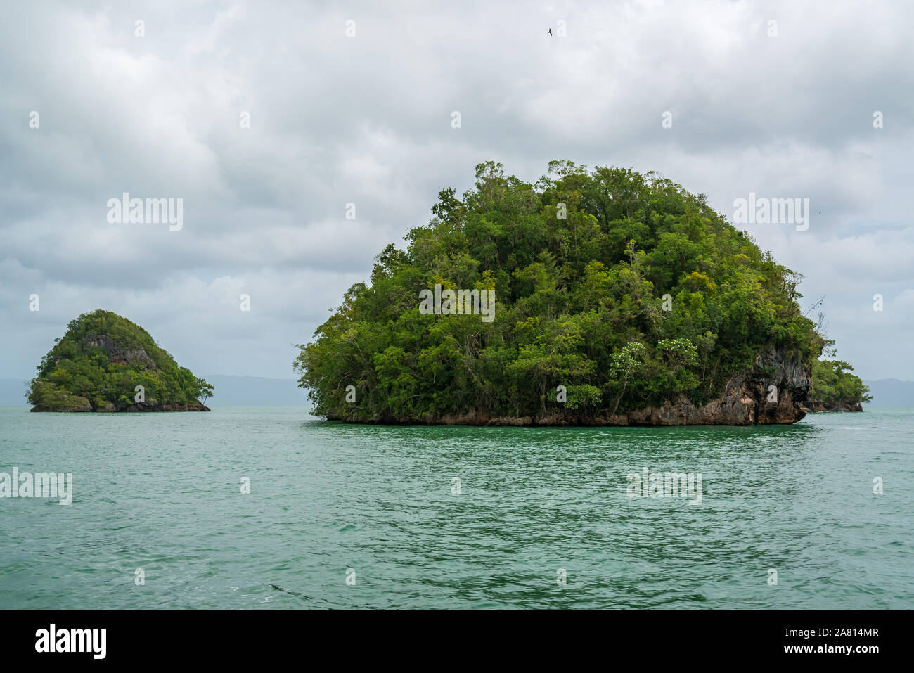 Parc national Los Haitises surnommée la baie d'Halong des Caraïbes.Les mangroves, grottes, d'une riche forêt tropicale, des oiseaux tropicaux multicolores et les lamantins. E Banque D'Images