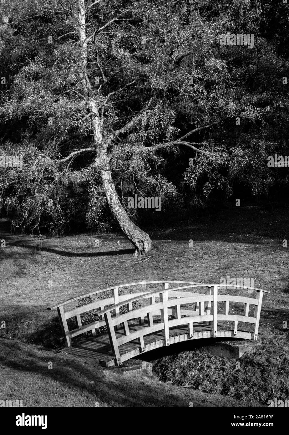 Pont panoramique, des collines, la Vallée des jardins, Windsor Great Park, Surrey, Angleterre, RU, FR. Banque D'Images