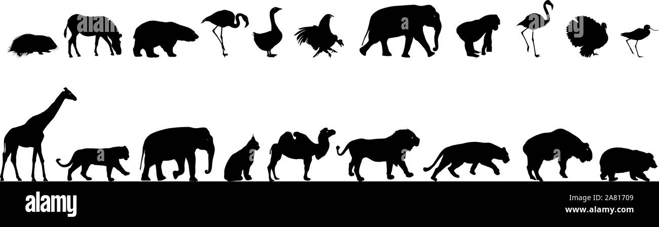 Ours éléphant silhouette blanche trot zebra canard sur un fond blanc. Illustration de Vecteur