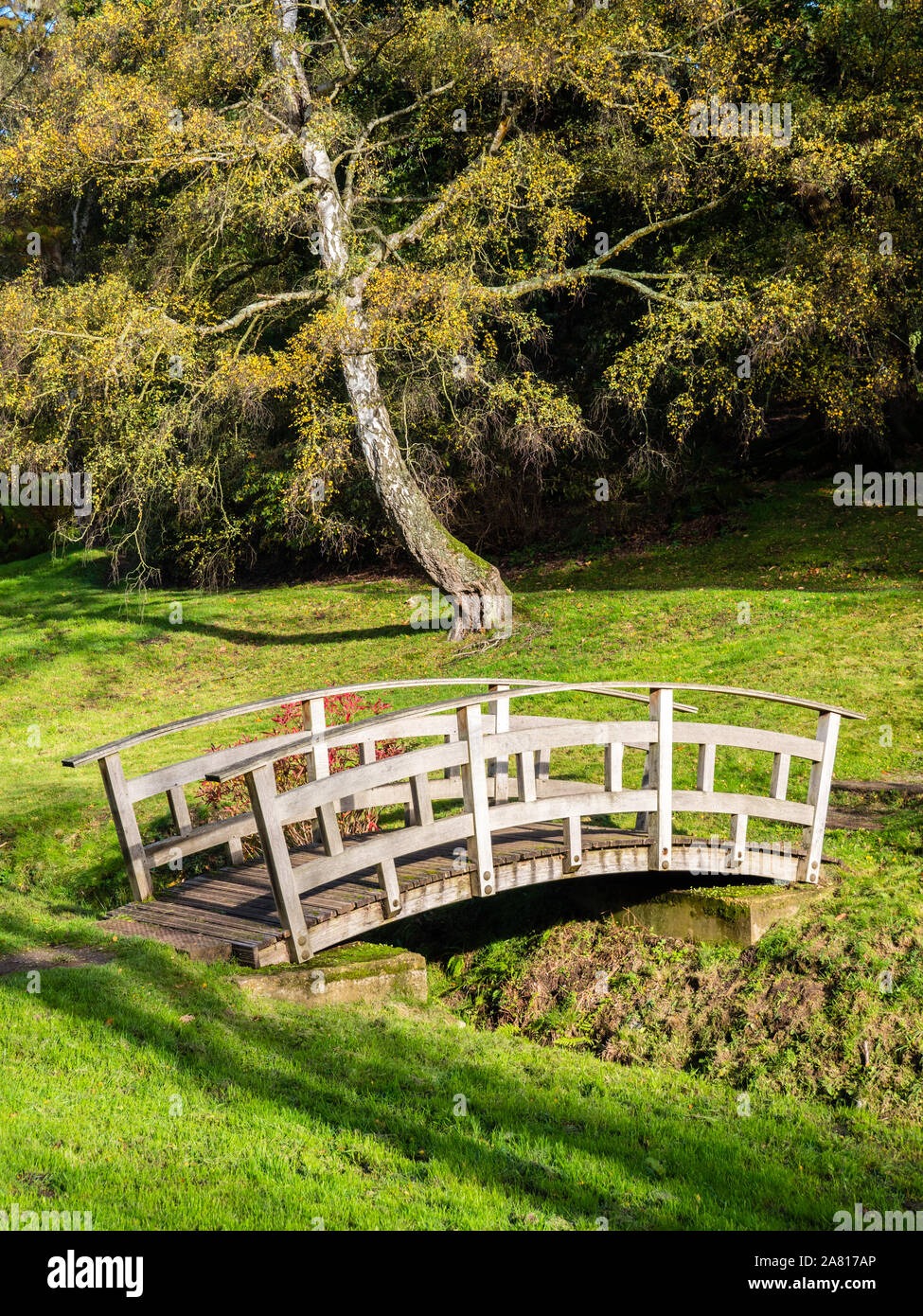 Pont panoramique, des collines, la Vallée des jardins, Windsor Great Park, Surrey, Angleterre, RU, FR. Banque D'Images