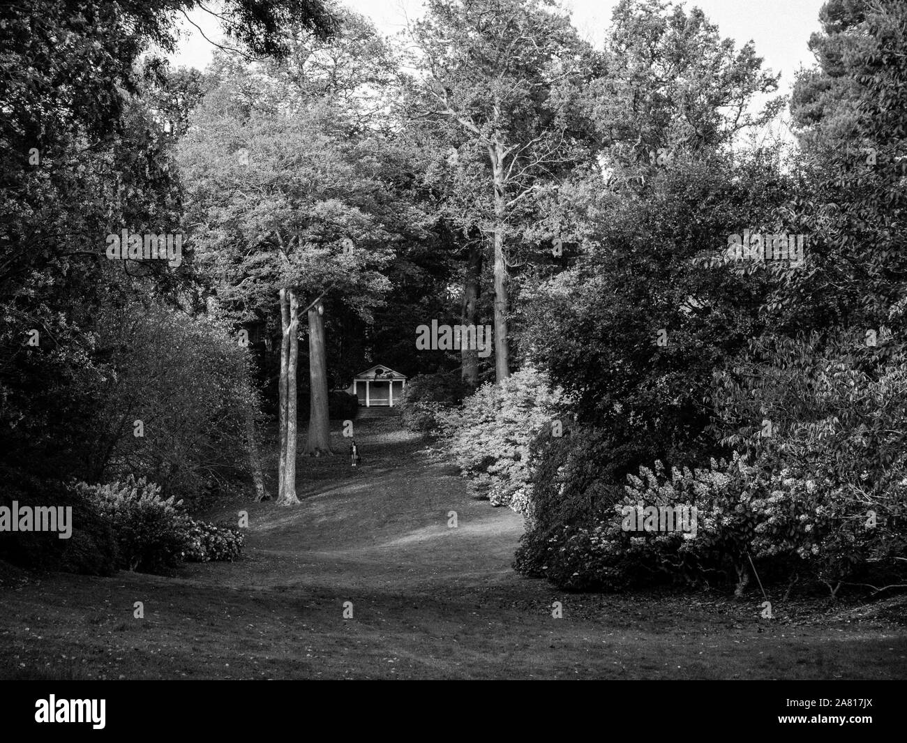 La vallée des Jardins, Windsor Great Park, Surrey, Angleterre, RU, FR. Banque D'Images