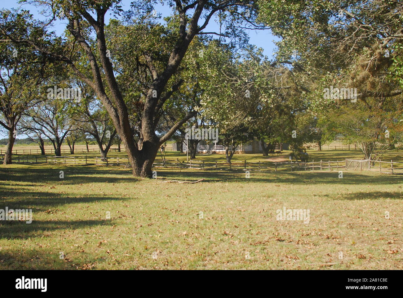 Le Lyndon B Johnson State Park à Stonewall/Johnson City, Texas. Banque D'Images