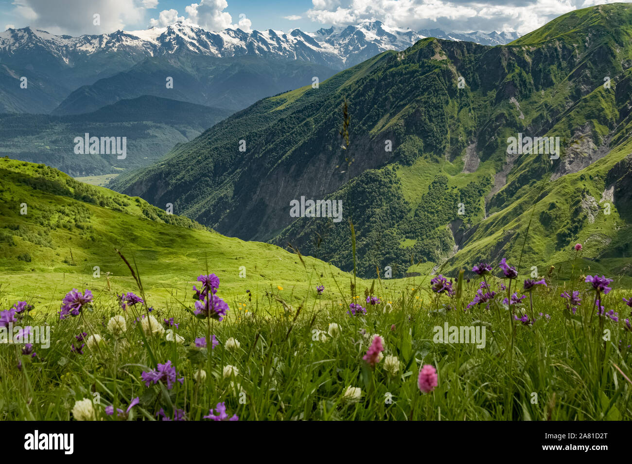 Georgian prairie avec vue sur la montagne Banque D'Images