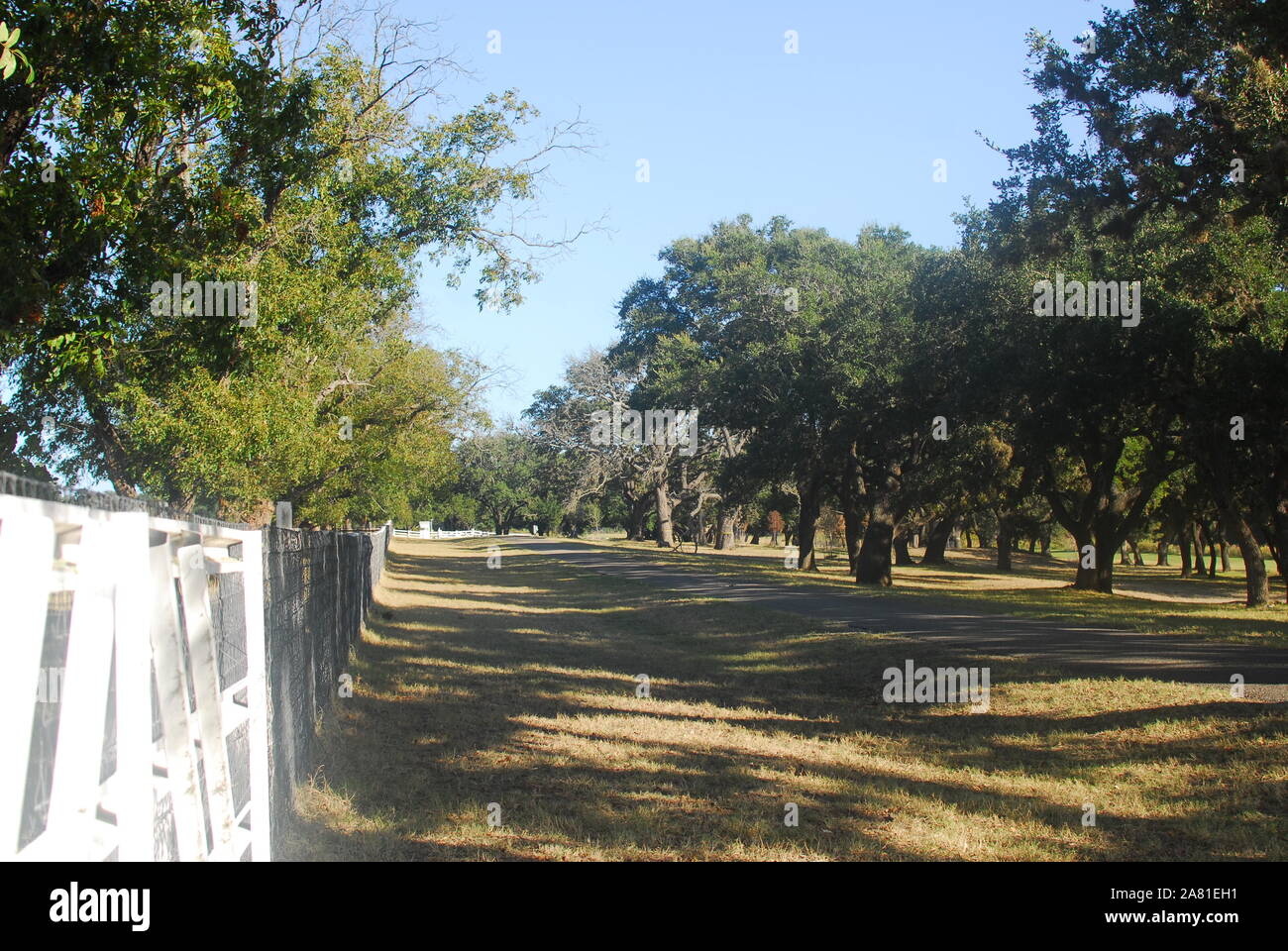 Le Lyndon B Johnson State Park à Stonewall/Johnson City, Texas. Banque D'Images