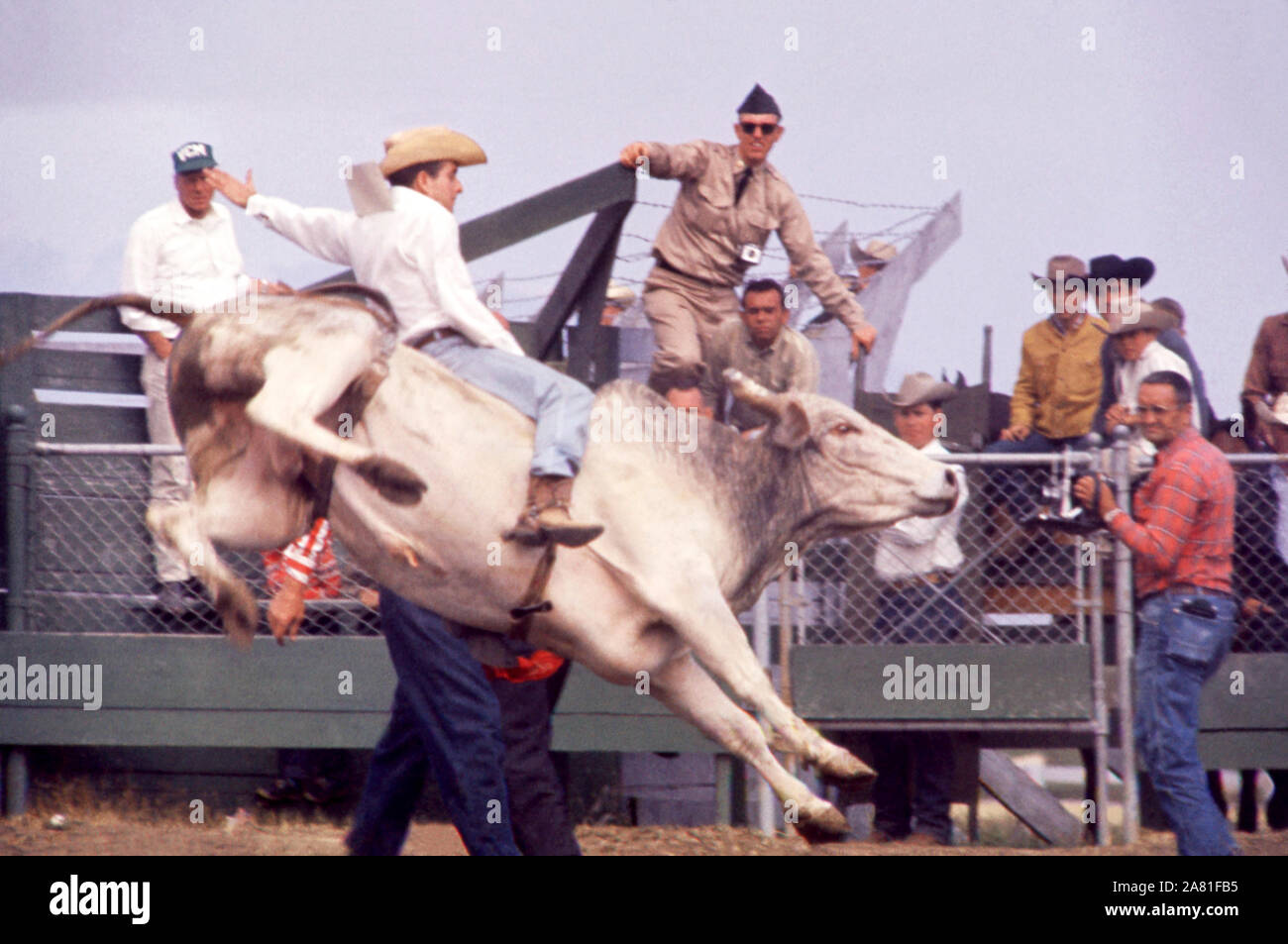 SALINAS, CA - 20 juillet : Un homme non identifié monte un taureau au cours de la California Rodeo le 20 juillet 1961 à Salinas, en Californie. (Photo de Hy Peskin) (Définition du nombre : X7726) Banque D'Images