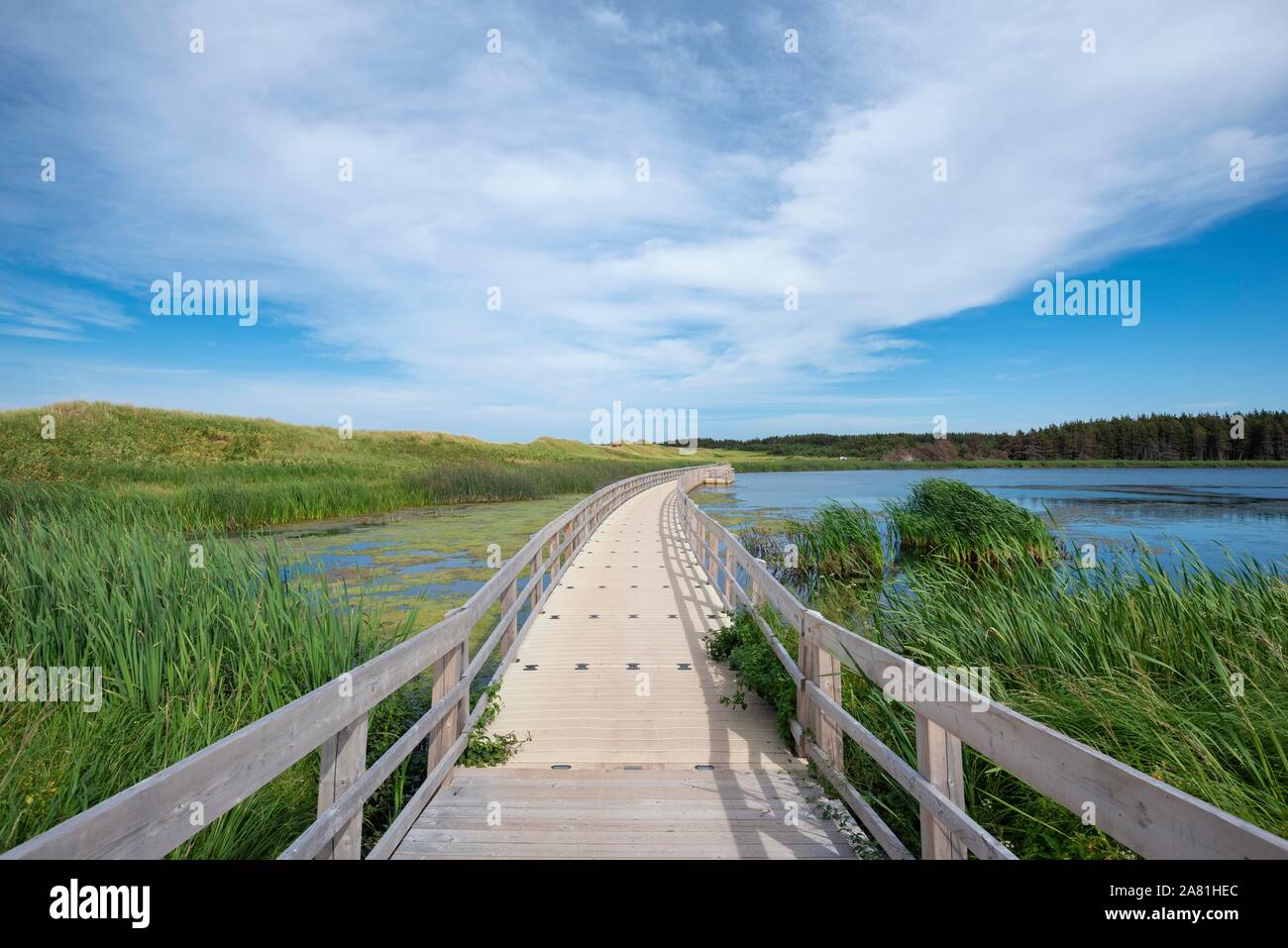 Jetée flottante au lac de shining waters, Prince Edward Island, Canada Banque D'Images